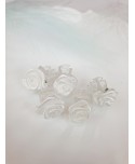 Białe różyczki na przezroczystej spineczce Białe różyczki na przezroczystej spineczce