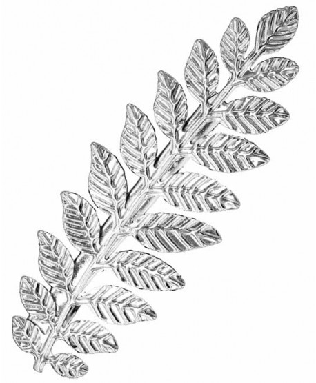 Spinka automatyczna złoty lub srebrny liść