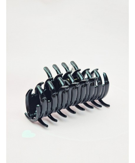 Spinka szczęka francuska kolory