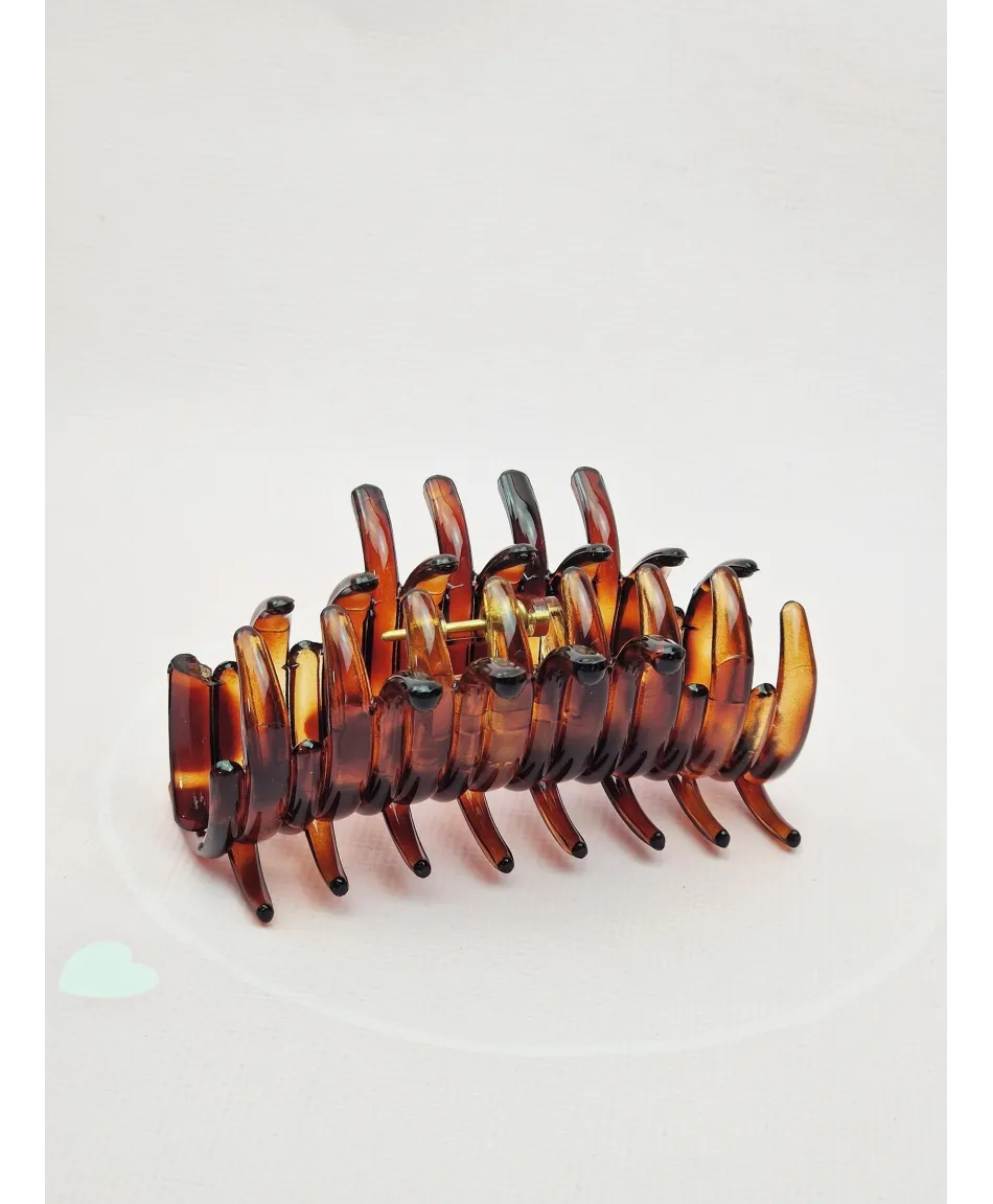 Spinka szczęka francuska kolory