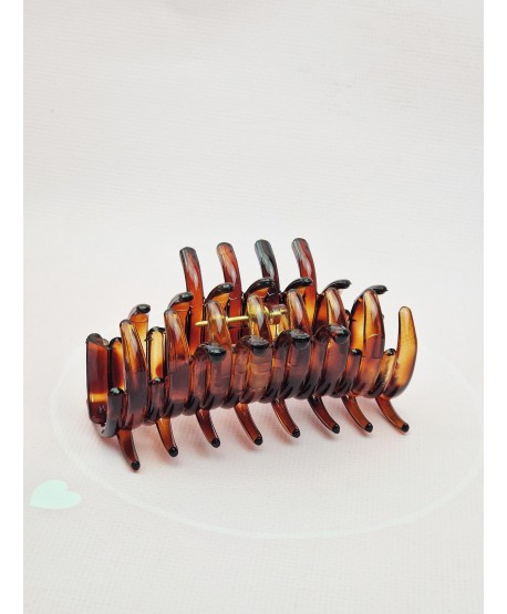 Spinka szczęka francuska kolory