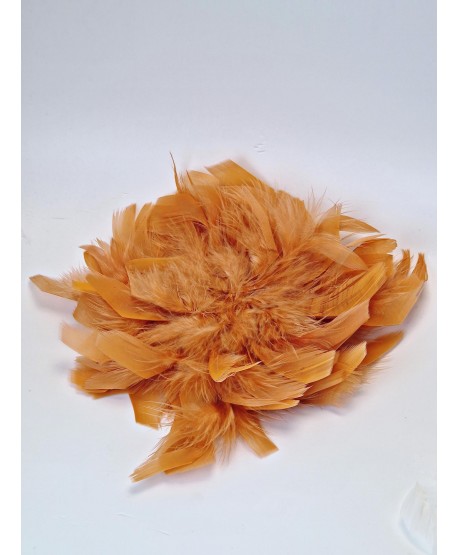 Broszka bardzo duże piórko w kolorach