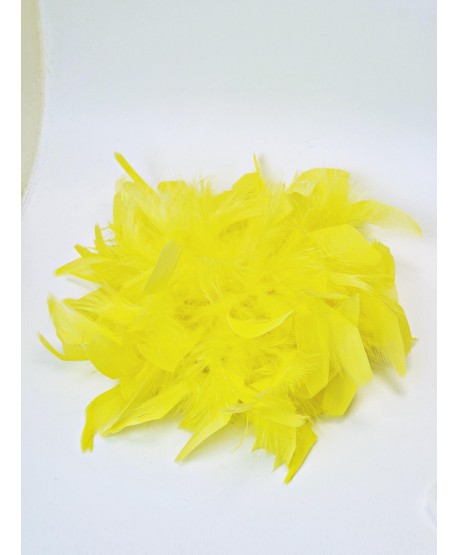 Broszka bardzo duże piórko w kolorach