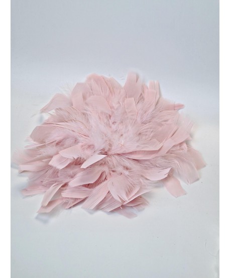 Broszka bardzo duże piórko w kolorach