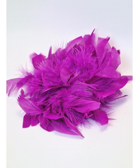 Broszka bardzo duże piórko w kolorach