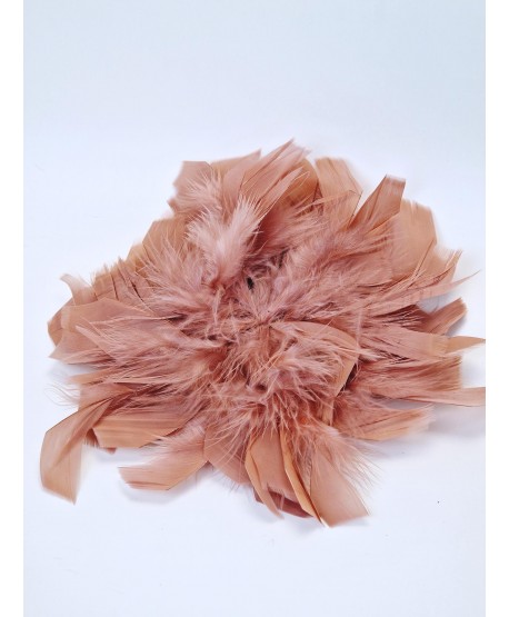 Broszka bardzo duże piórko w kolorach