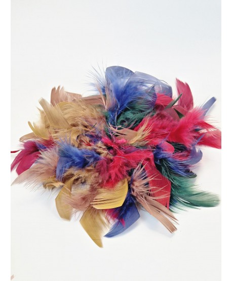 Broszka bardzo duże piórko w kolorach