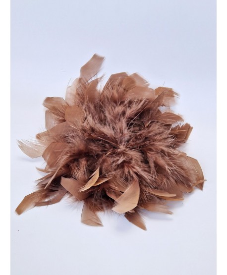 Broszka bardzo duże piórko w kolorach