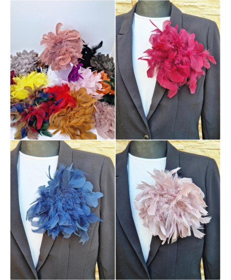 Broszka bardzo duże piórko w kolorach