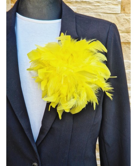 Broszka bardzo duże piórko w kolorach