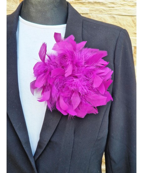 Broszka bardzo duże piórko w kolorach