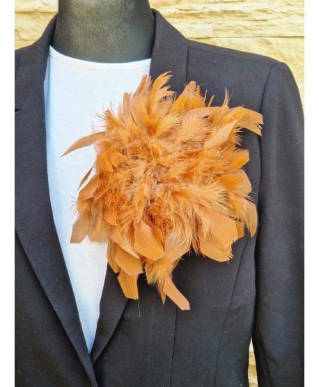 Broszka bardzo duże piórko w kolorach